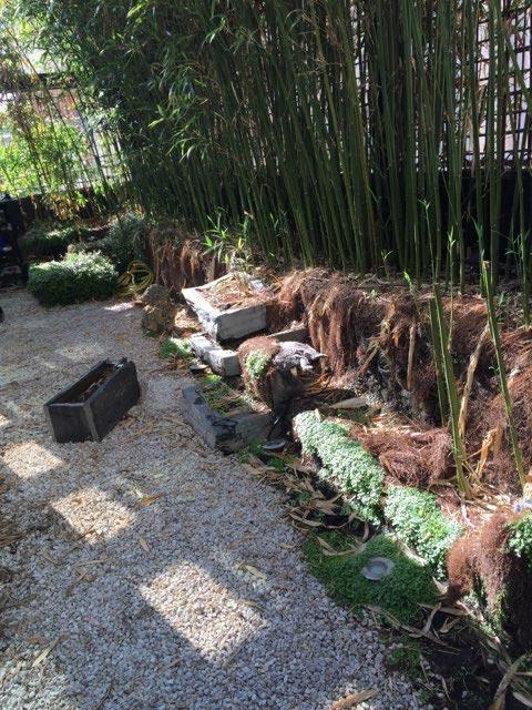 Création de jardin Paris