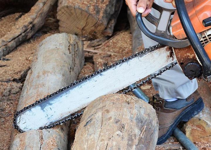 Faites appel à notre entreprise pour effectuer des travaux d’élagage en toute sécurité. Nous nous déplaçons à Paris et dans ses alentours.